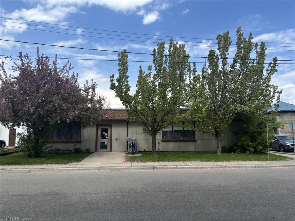 13 Alma Street N